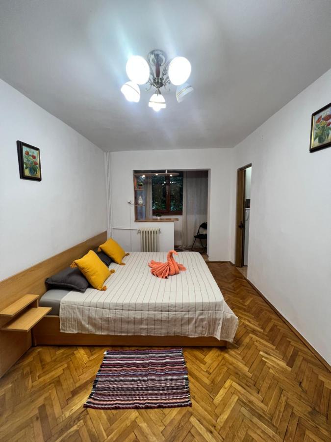 Miha Modern And Central Apartament Malul Muresului Arad Exterior photo
