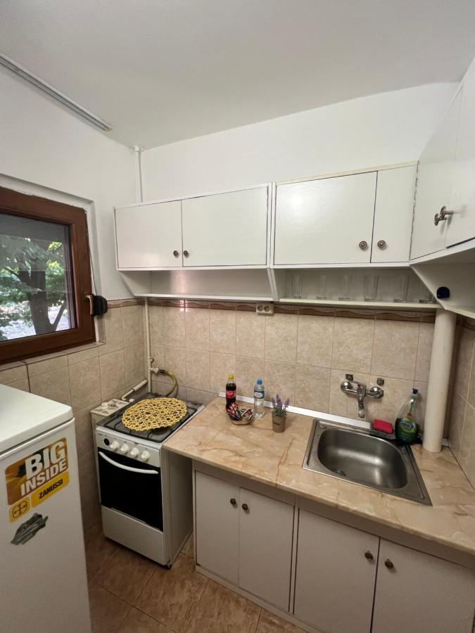 Miha Modern And Central Apartament Malul Muresului Arad Exterior photo