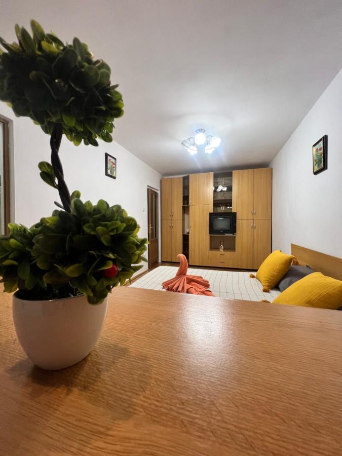 Miha Modern And Central Apartament Malul Muresului Arad Exterior photo