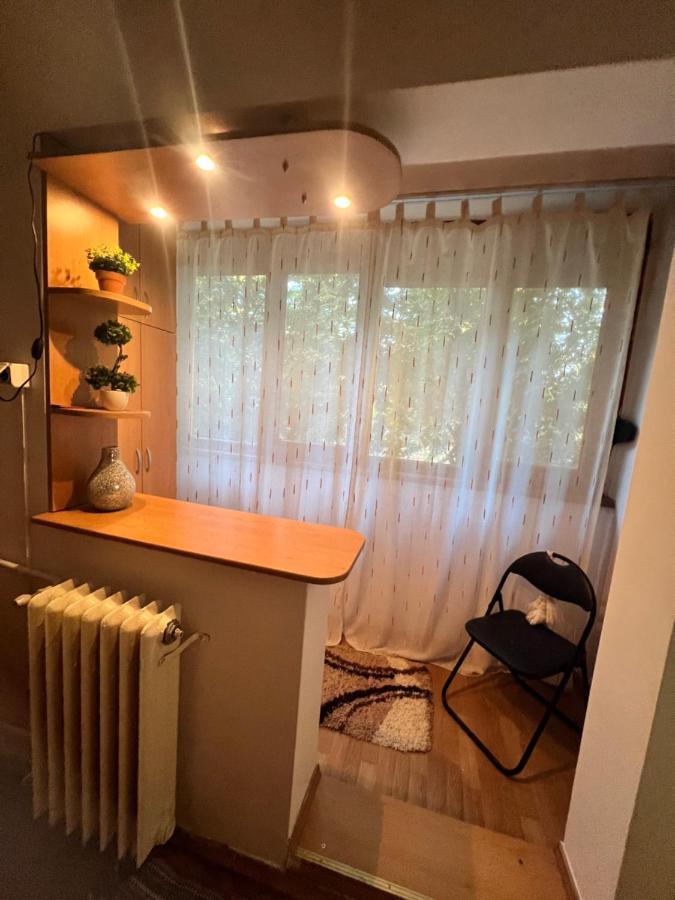 Miha Modern And Central Apartament Malul Muresului Arad Exterior photo