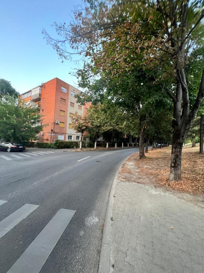 Miha Modern And Central Apartament Malul Muresului Arad Exterior photo